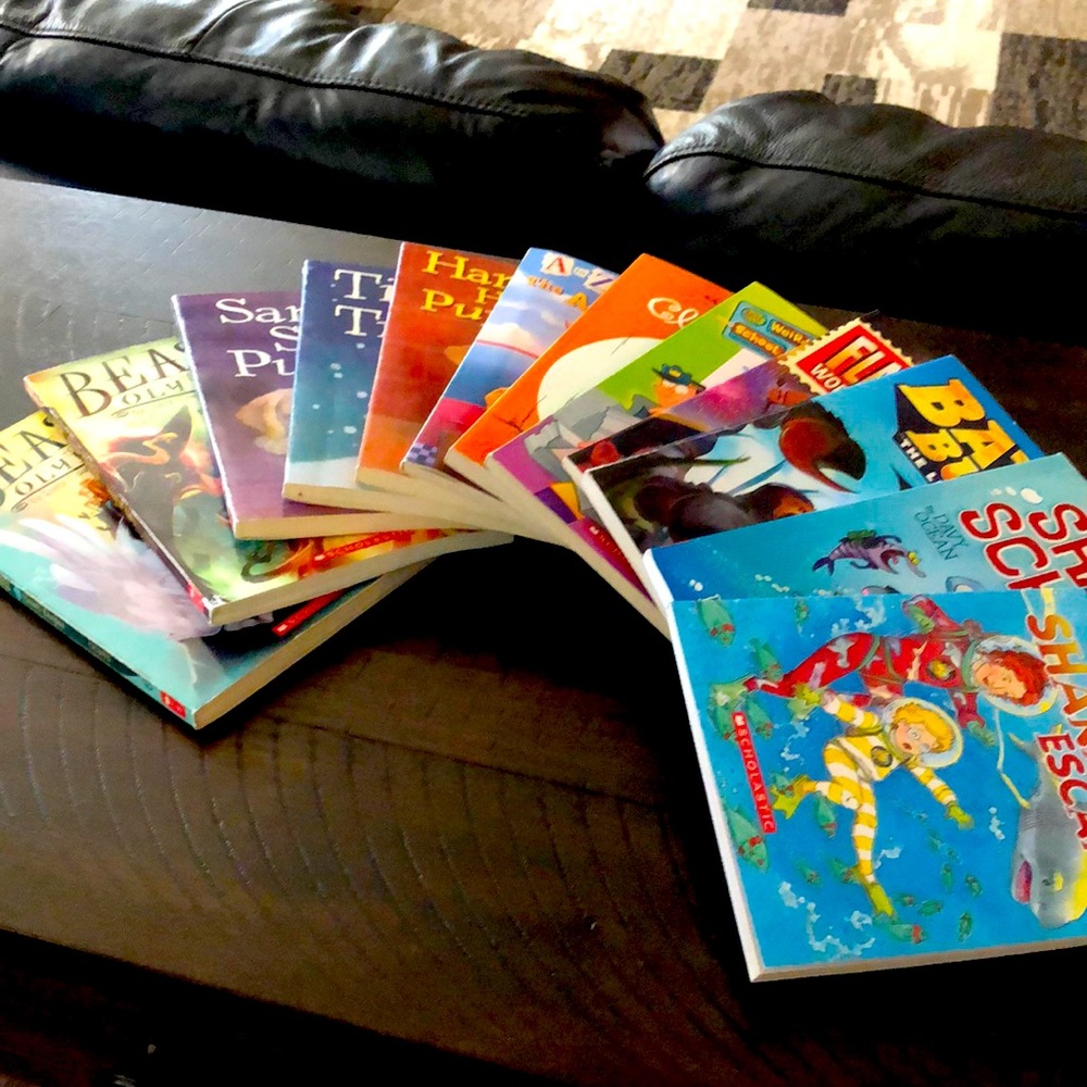 Scholastic chapter books, 12 total